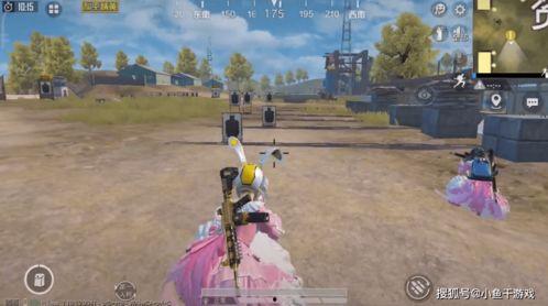 吃鸡新军需爆料最新实战,新军需亮相！吃鸡战场实战解析  第1张