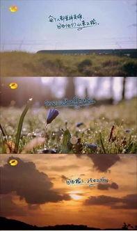 关于花季节最新爆料的文案,揭秘最新花季节秘闻大揭秘 第2张 关于花季节最新爆料的文案,揭秘最新花季节秘闻大揭秘 第2张